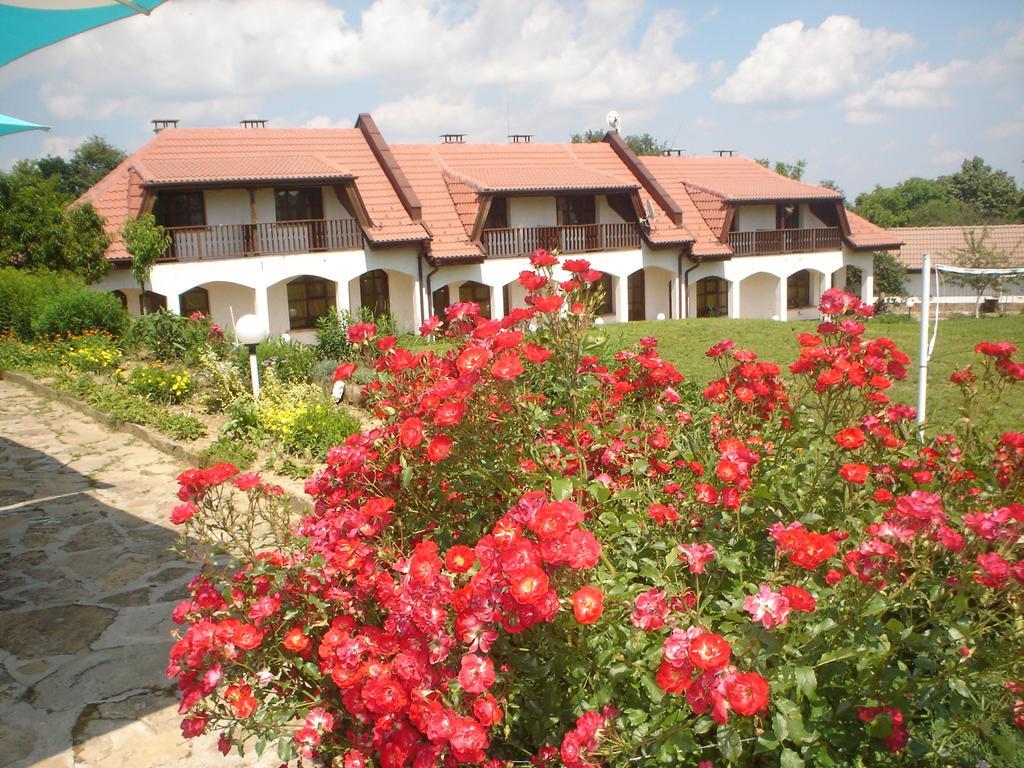 Complex Roden Kray Hotel Vlajcsovci Kültér fotó