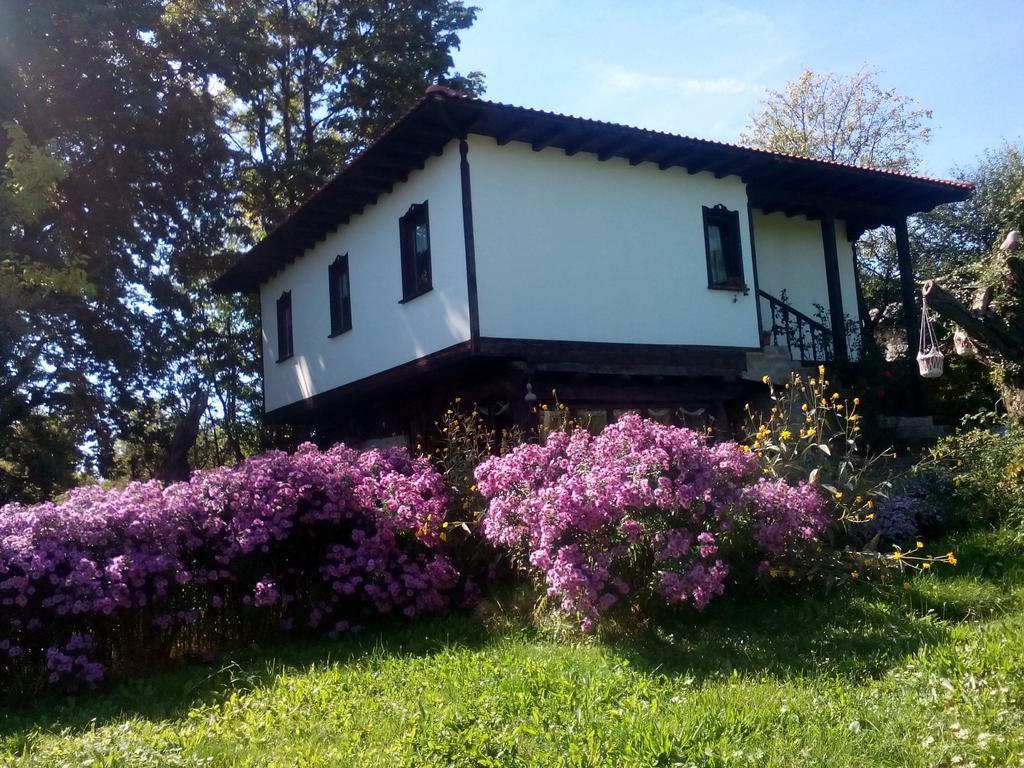 Complex Roden Kray Hotel Vlajcsovci Szoba fotó